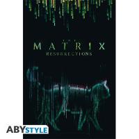 The Matrix "Cat" 91,5x61 cm poszter